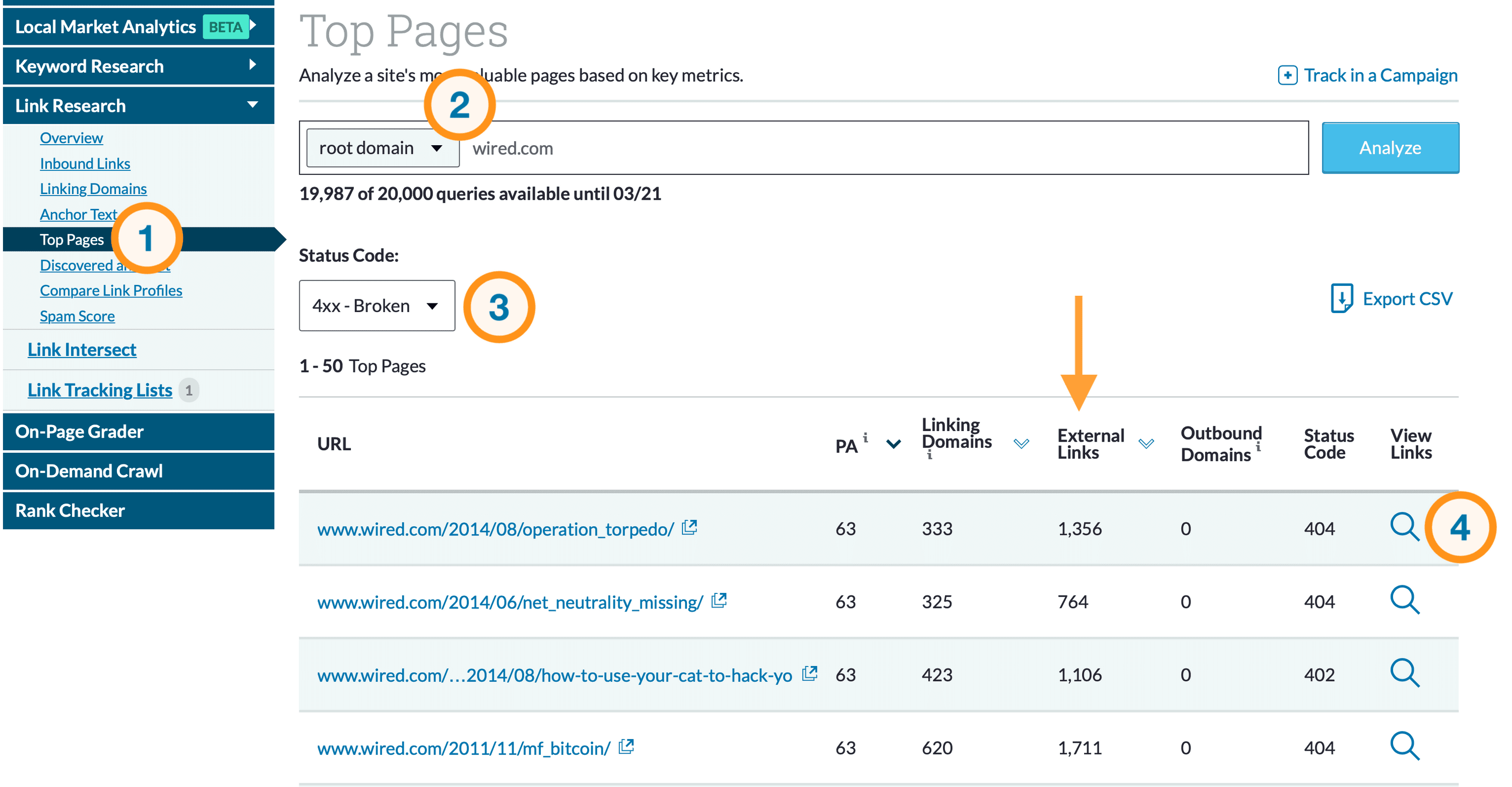 A screenshot of the Top Pages report in Link Explorer that corresponds to the numbered list above.